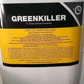 Haşal ota garşy gerbisit