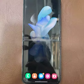 Z Flip 4
