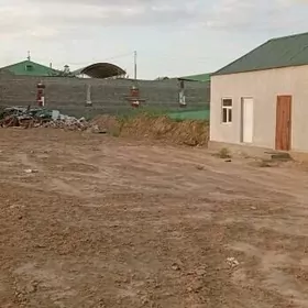 Magtimgúly 16 cotúk taýin