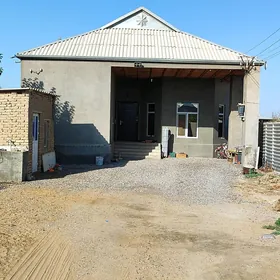 Şatlyk jay
