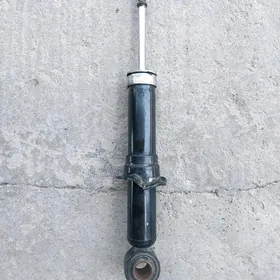 karolla amasatyr yzky