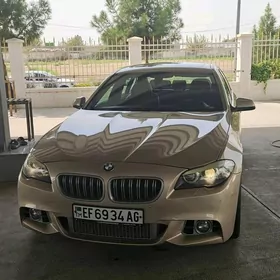 BMW F10 2010