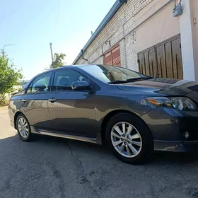 Toyota Corolla 2010