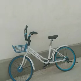 bez kama