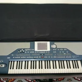 KORG PA800