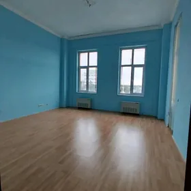 Gogol poluelitka 3 kom arzan