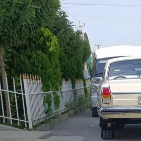 Gaz 24 1985