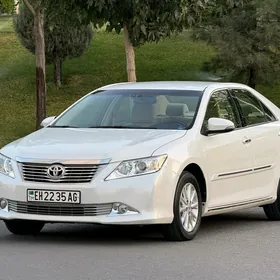 Toyota Camry 2013