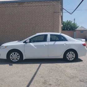Toyota Corolla 2008