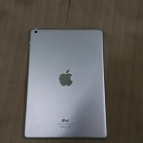 satlyk iPad Air