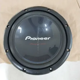 pioneer bocka 1000w