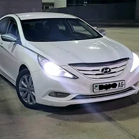 Hyundai Sonata 2010