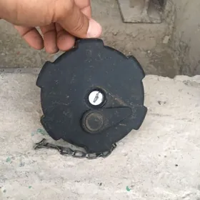 Gapak salyarka bak