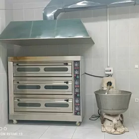 Duhowka elektiriçeski