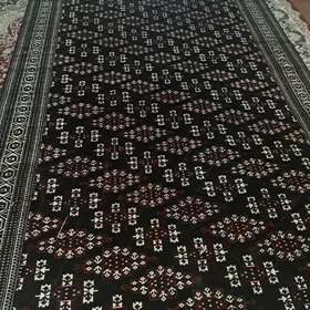 Haly gawsagöl