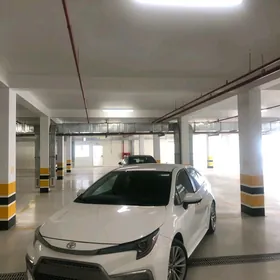 Toyota Corolla 2020