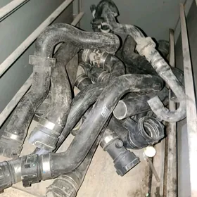 Bmw patrubkalar morda