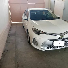 Toyota Corolla 2019