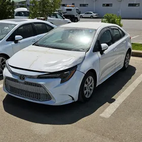 Toyota Corolla 2021