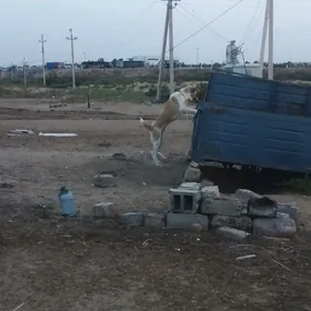 it