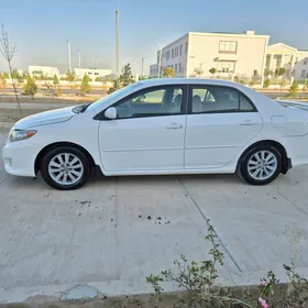 Toyota Corolla 2010