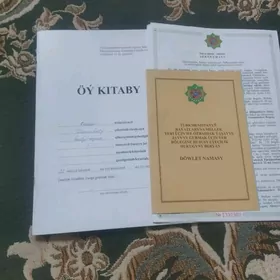 Guwlymayak jay hojalyk