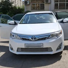 Toyota Camry 2013