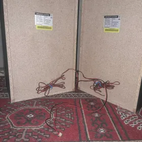 LG