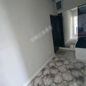 Arenda jay Mir 2 