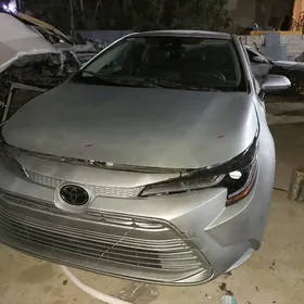 Toyota Corolla 2024