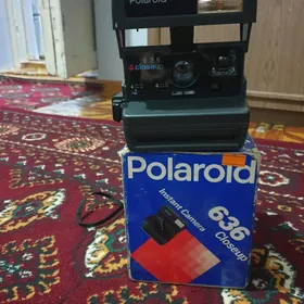 Polaroid