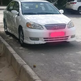 Toyota Corolla 2004