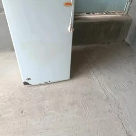 kıçı holodelnik