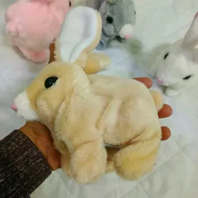 Oyunjak
