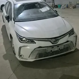 Toyota Corolla 2020