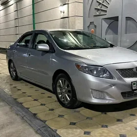 Toyota Corolla 2010