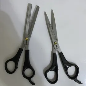Gayçy