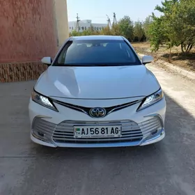 Toyota Camry 2019