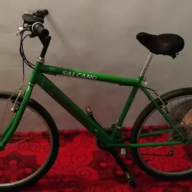 tigir turkmenistan