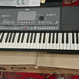 Korg pa 600