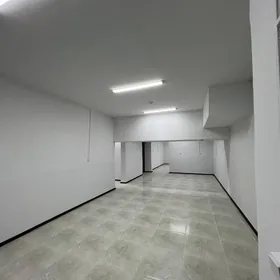 arenda mir8