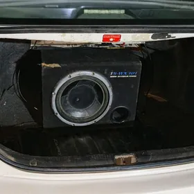 Pioneer Sambufer Bass bocka