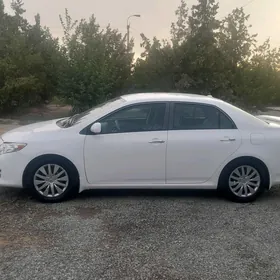 Toyota Corolla 2010