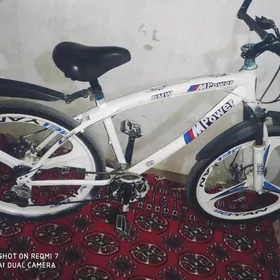 BMW tigir