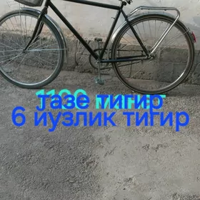 TIGIR WELSEPIT