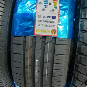 MINERWA SUV 24YYL 2656517 1ST