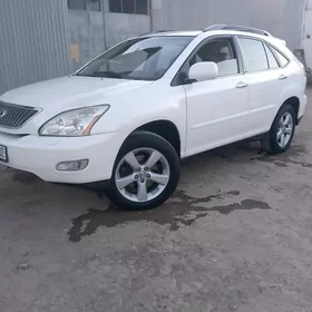 Lexus RX 330 2004