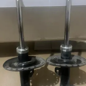 Amasator cemri