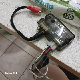 usilitel catylyan