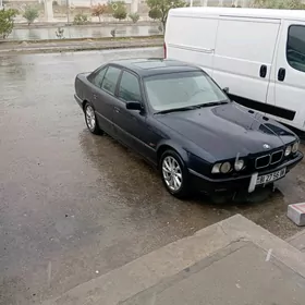 16lyk diska